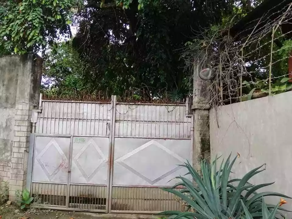 Residential Lot for Sale in Dumlog, Talisay City, Cebu — Residential Lot in Talisay, Cebu, Philippines — Photo 3