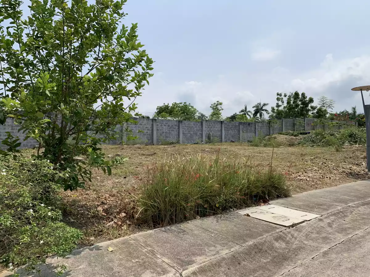 Lot for sale in Amara Subdivision