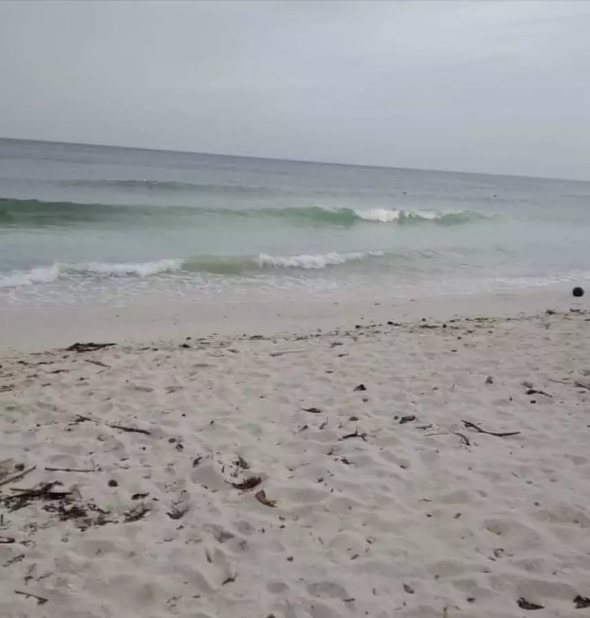 Beach Lot in Panglao Bohol