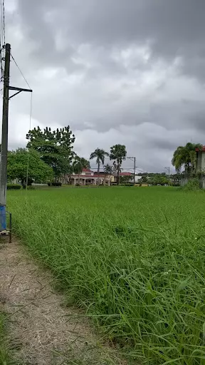 280sqm Lot in Las Villas De Hervias — Residential Lot in Atis Street, Bacolod, Negros Occidental — Photo 6