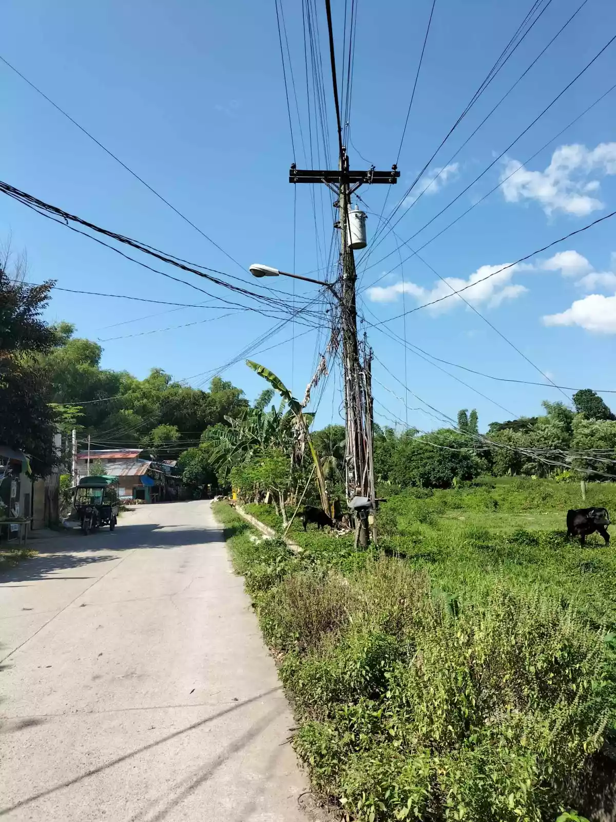 Batinguel Diversion Residential 6879sqm Lot For Sale