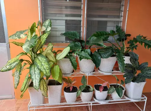 Open photo 47 of 118 — HOUSE AND LOT FULLY FURNISHED