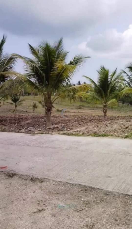 AGRICULTURAL LOT FOR SALE 