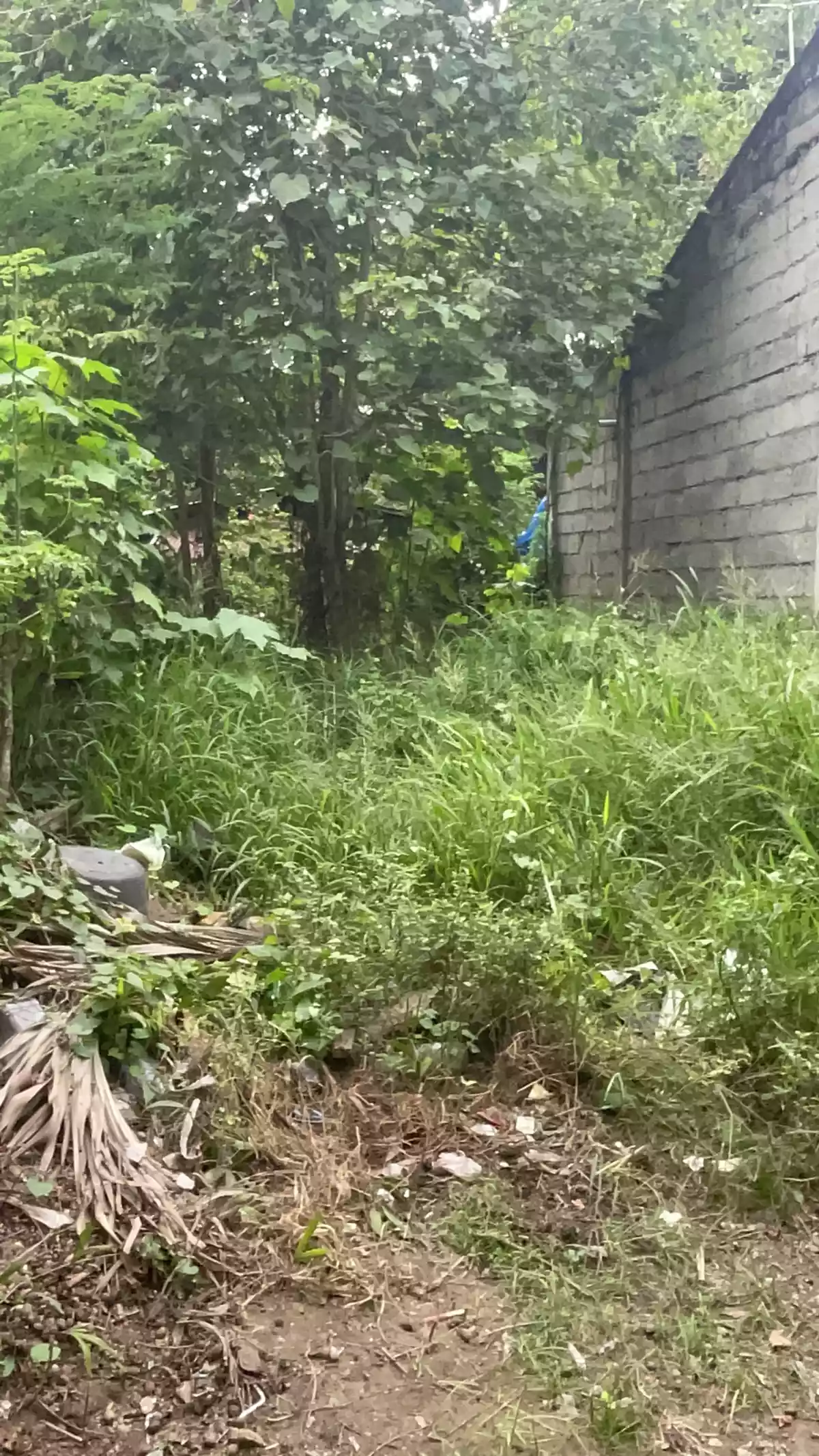 RESIDENTIAL LOT FOR SALE IN KAUSWAGAN NHA — Residential Lot in NHA, Kauswagan, Cagayan de Oro — Photo 5