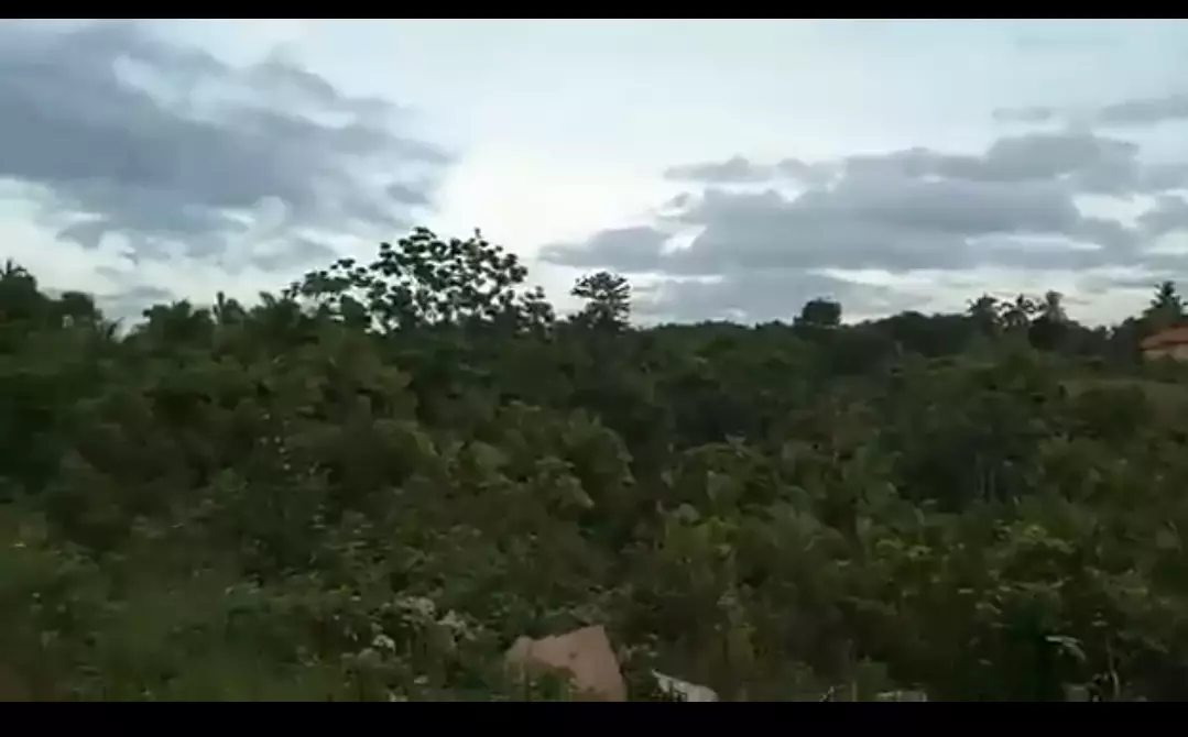 Gaboc, Tagbilaran City - photo 4