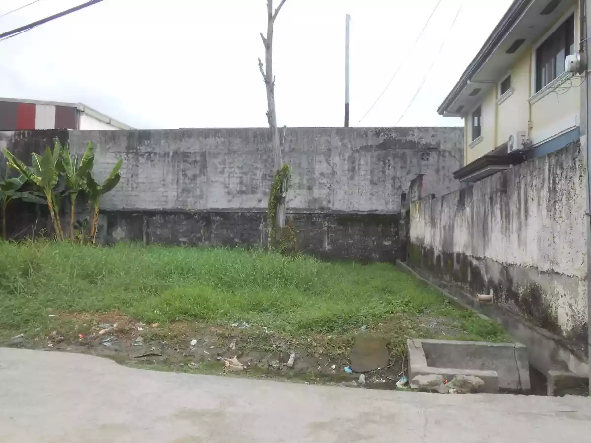 Lot for sale in Hermag Village Mandaue City - photo 4