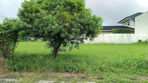 280sqm Lot in Las Villas De Hervias — Residential Lot in Atis Street, Bacolod, Negros Occidental — Photo 3