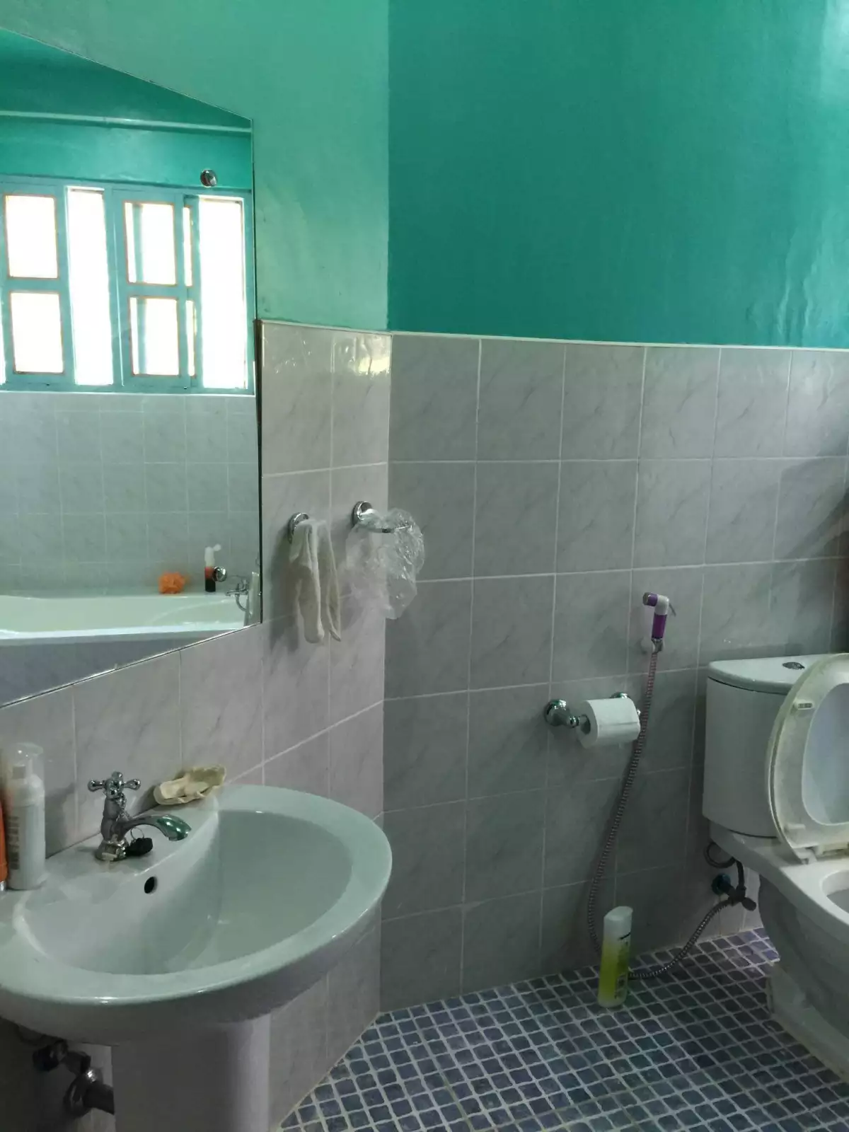 Fruit Farm with Vacation House in Camiguin — House and Lot in Camiguin, Philippines — Photo 6