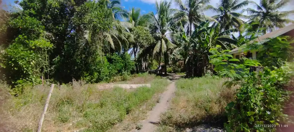 Lot for Sale at Barangay Ligaya, Near UST Gensan - photo 4