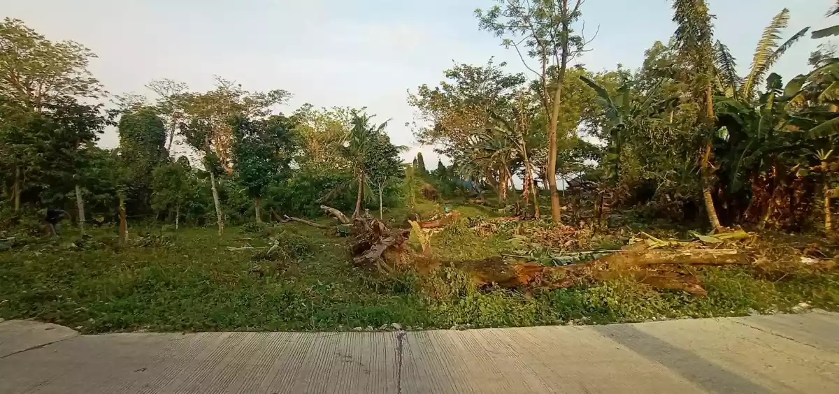 FOR SALE Beach Front Lot Along Brgy. Road and Near Major Establishments — Residential Lot in Dumanjug, Cebu, Philippines — Photo 5