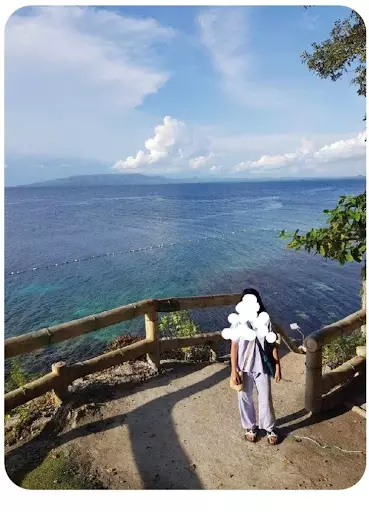 PANGLAO, NAPALING REEF TANGNAN — Residential Lot in napaling drive, Panglao, Bohol — Photo 5