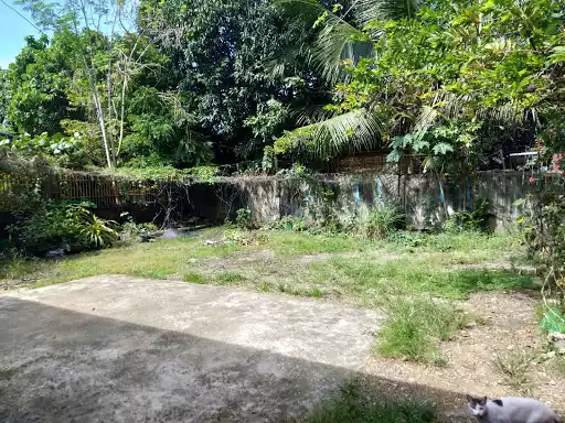 Fully furnished house and lot!! — House and Lot in Lapu-Lapu City, Cebu, Philippines — Photo 3