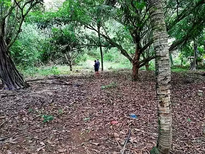 Farmlot - photo 2