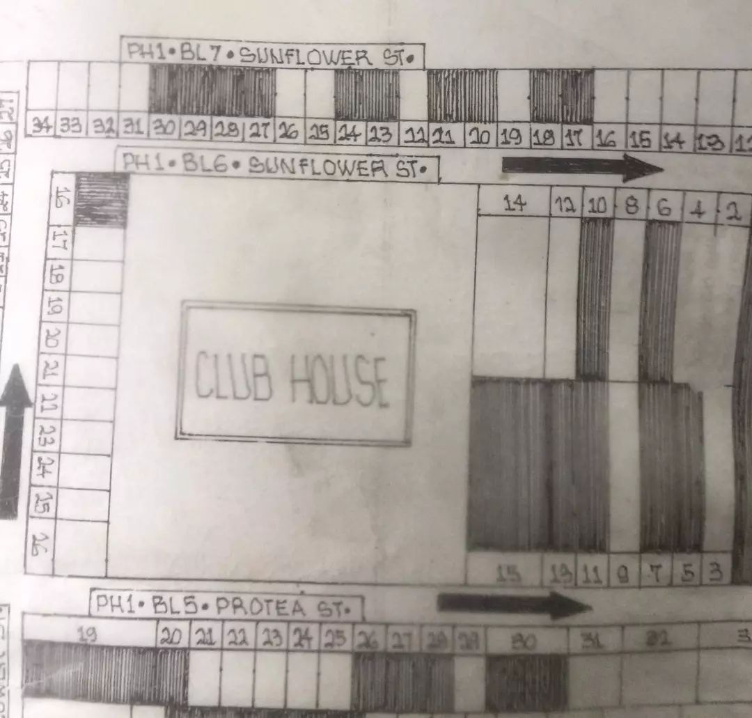 177SQM Lot For Sale at Metropolis Talamban - photo 6