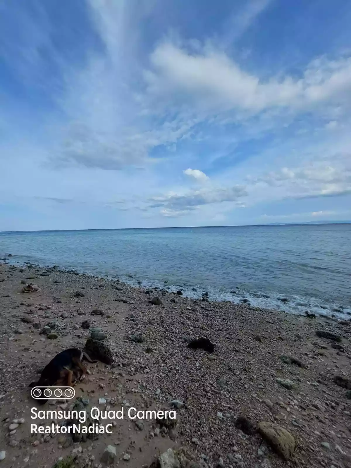 BEACH LOT for SALE in Oslob, Cebu for 25M — Beach Lot in Oslob, Cebu, Philippines — Photo 6