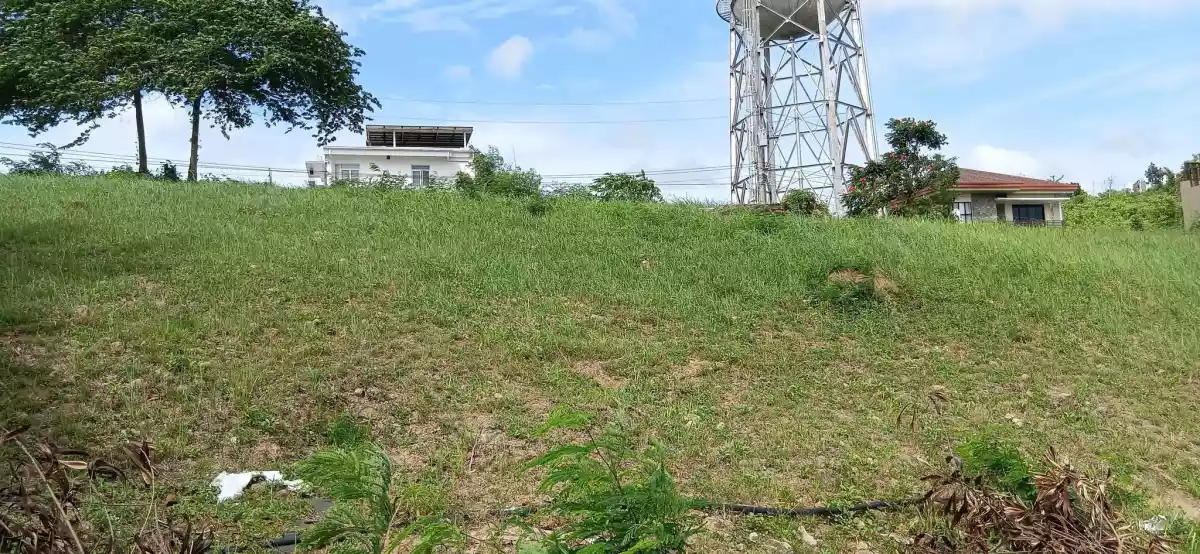 Overlooking Lot For Sale in Kishanta Subdivision – Talisay City, Cebu - photo 2