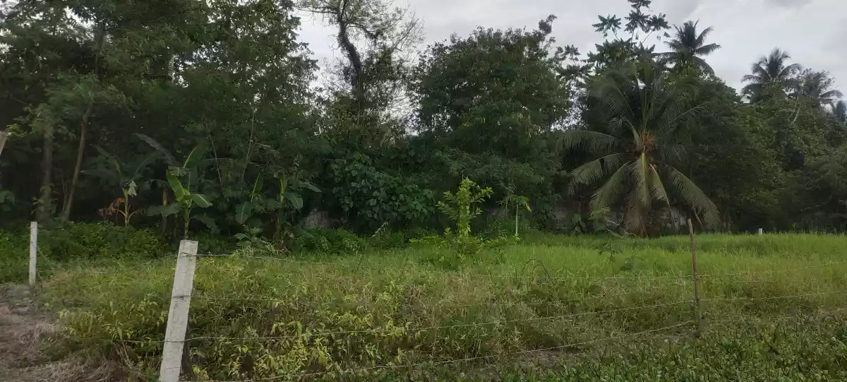 560sqm lot for sale in Anas Subd  Lagao — Residential Lot in General Santos City, South Cotabato, Philippines — Photo 2