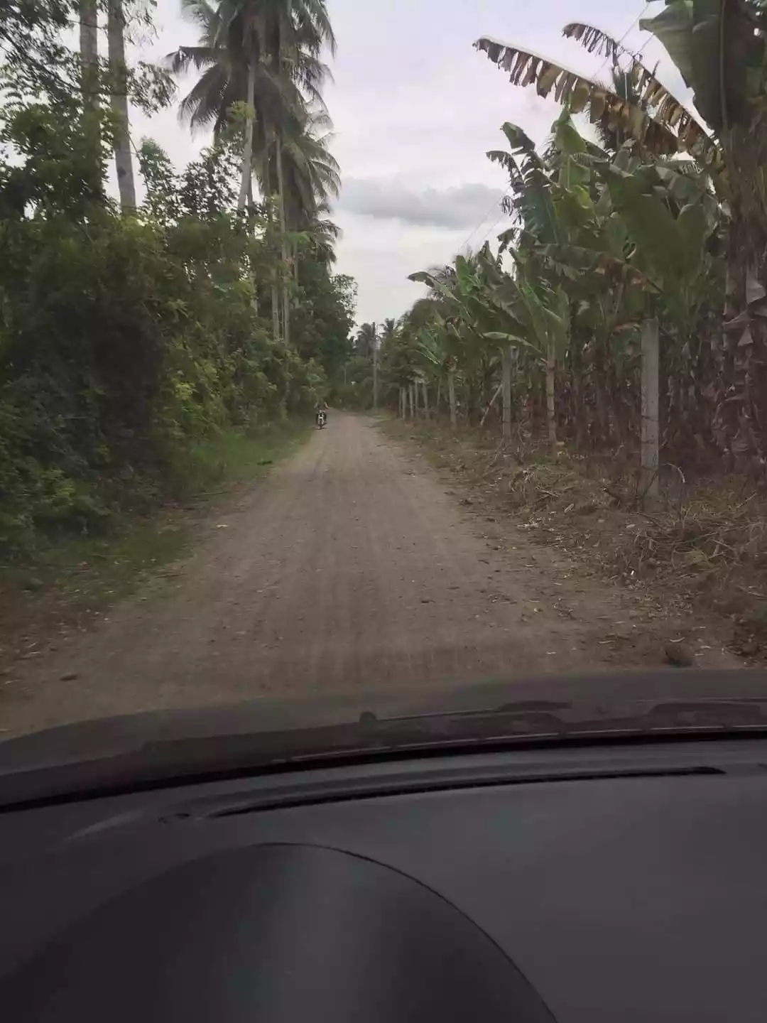 Vacant Lot for Sale — Agricultural Lot in Pan-Philippine Highway, General Santos City, South Cotabato — Photo 3