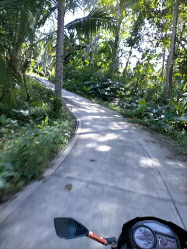 Lot only - photo 6