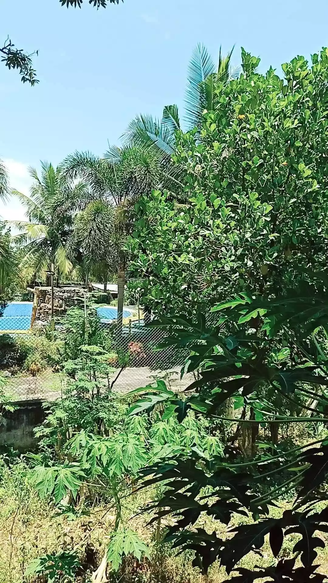 Residential Lot — House and Lot in Calinan District, Davao City, Davao del Sur — Photo 4