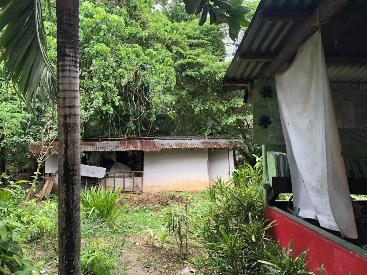 Lot for Sale - photo 4