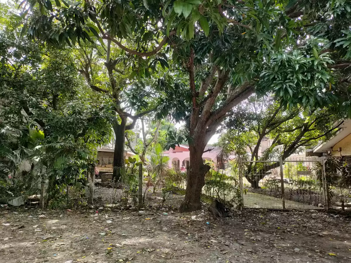 Commercial Property for Sale near downtown Dumaguete City - photo 7