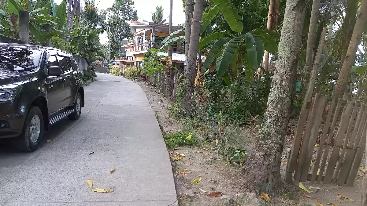 Tax dec — Beach Lot in Catmon, Cebu, Philippines — Photo 2