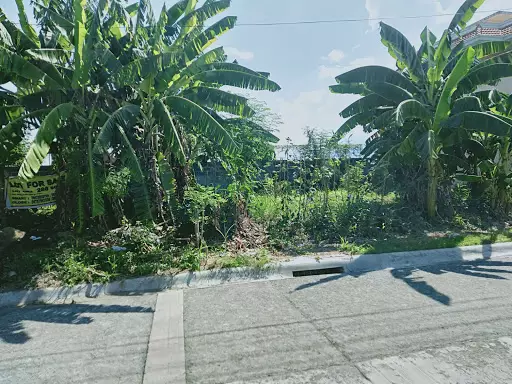 LOT FOR SALE!! — Residential Lot in Lapu-Lapu City, Cebu, Philippines — Photo 3