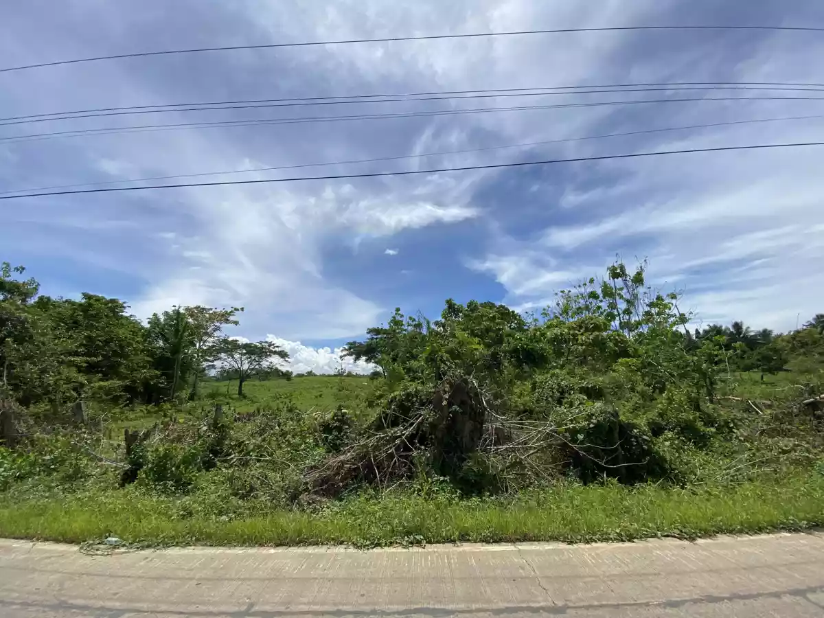 15has Prime Lot in Tacunan Davao City — Residential Lot in Tacunan Road, Tugbok, Davao City — Photo 2