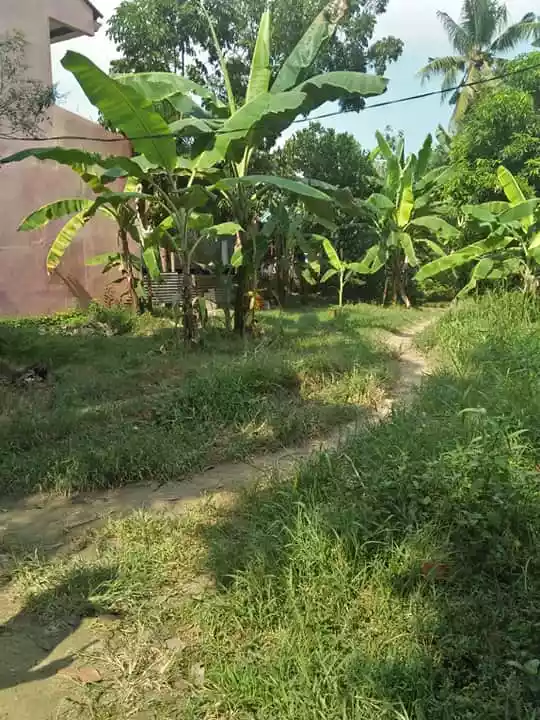 Residential lot in Cotcot Liloan - photo 4