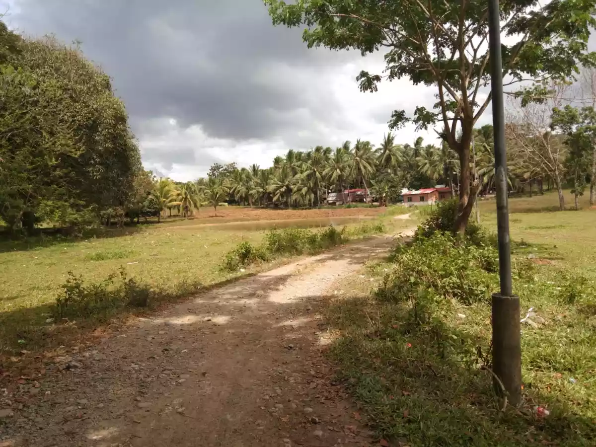 Abucayan Property - photo 4