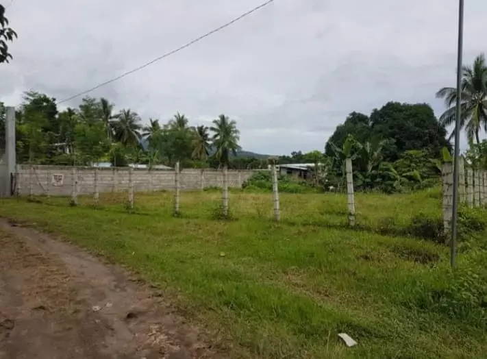 Agricultural Lot in Dumaguete For Sale — Agricultural Lot in Negros Oriental, Philippines — Photo 4