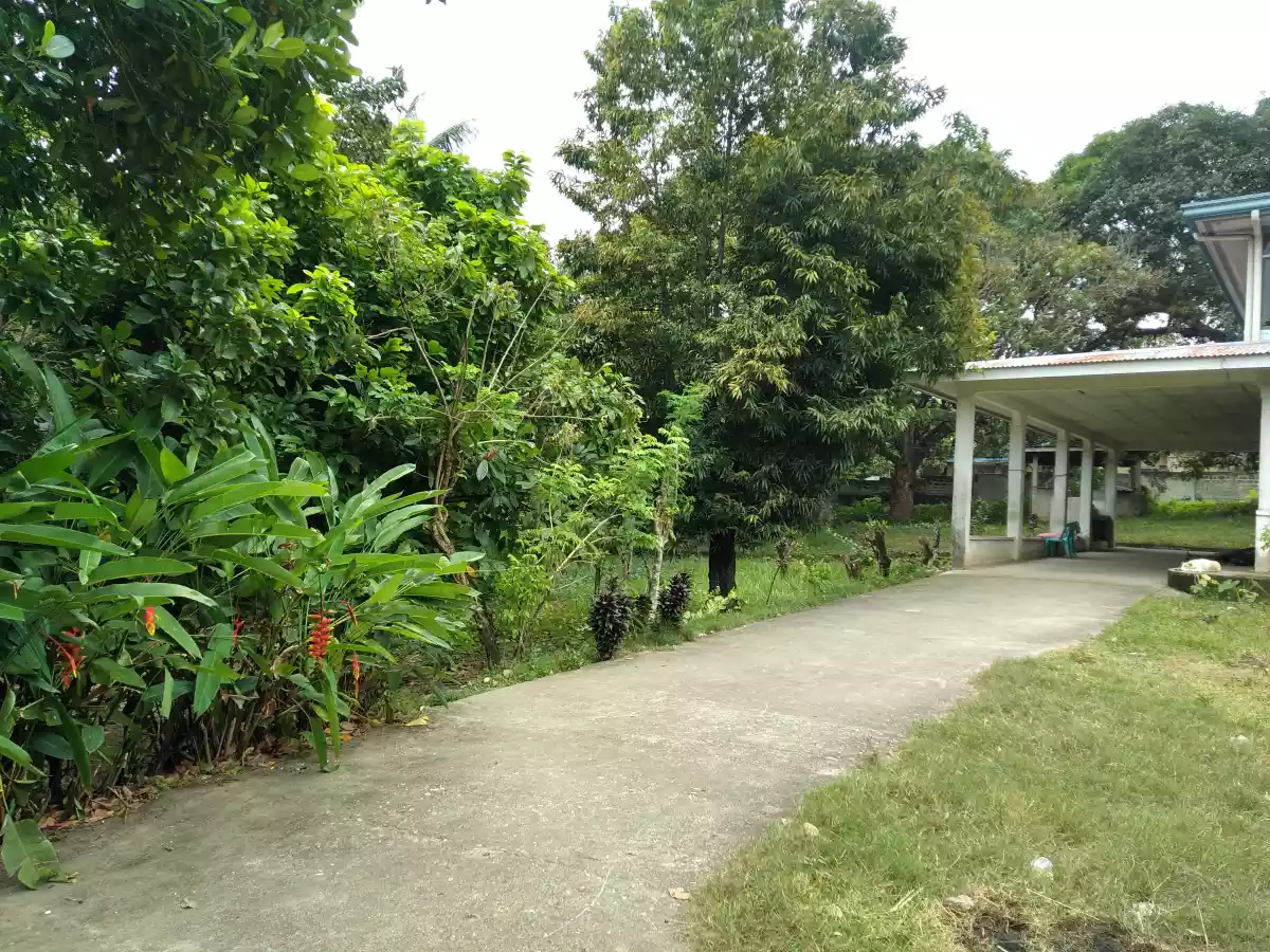 Affordable Industrial Lot - photo 4