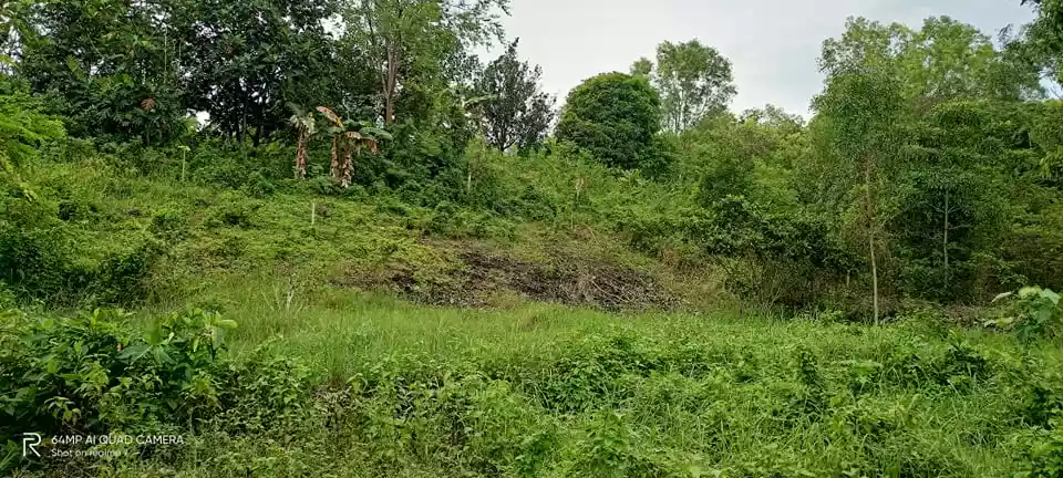 FOR SALE : 8.76 HECTARES IN TABUELAN - photo 4