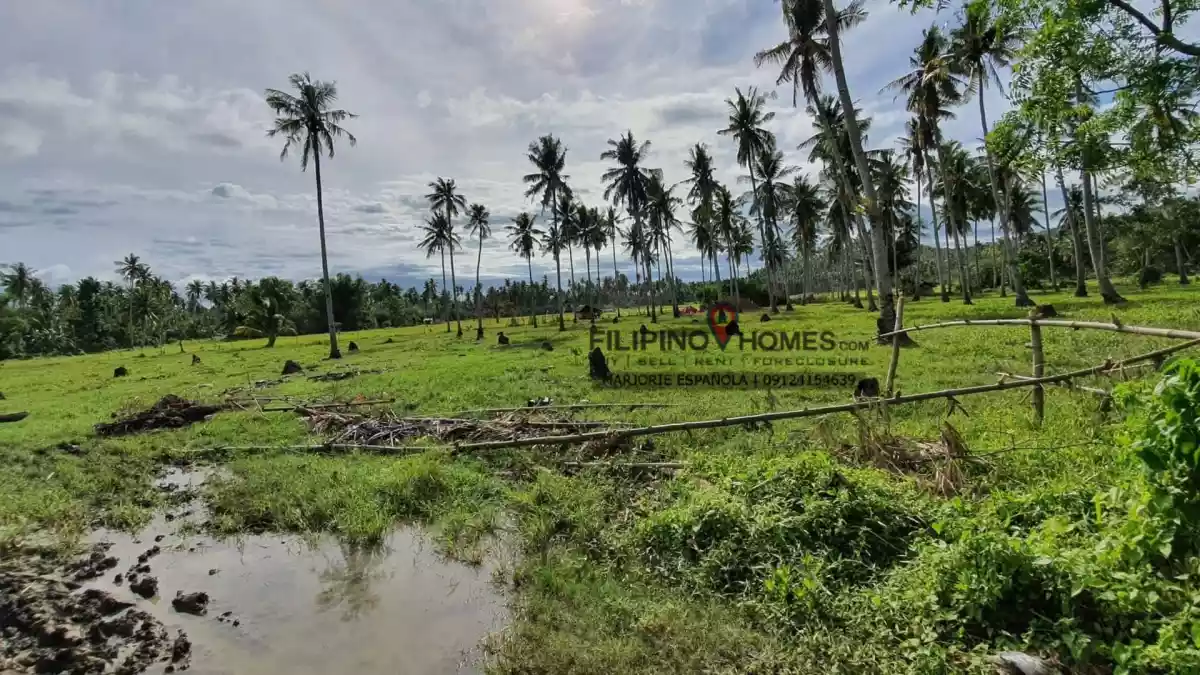 21 Hectares Beach for Sale  at Cablalan, Glan — Beach Lot in Sarangani, Philippines — Photo 5