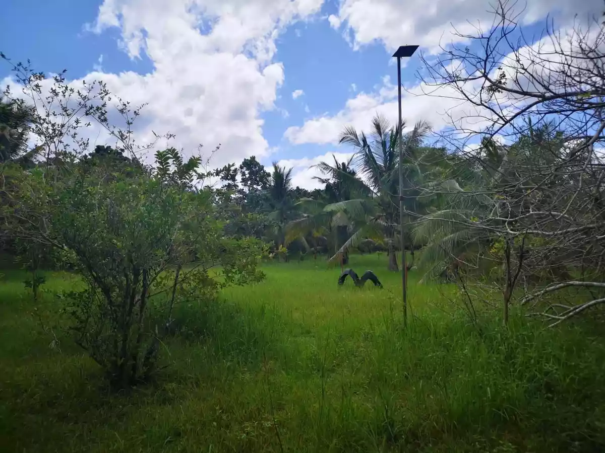 Property for Sale in panglao — Residential Lot in Bohol, Philippines — Photo 6