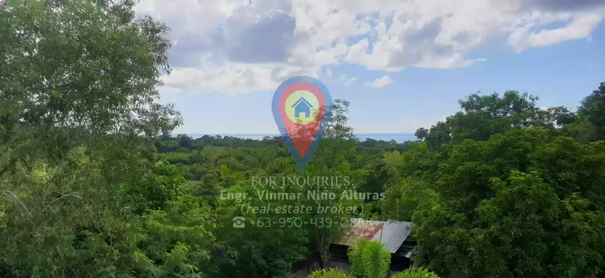 Open photo 14 of 19 — Overlooking House and Lot