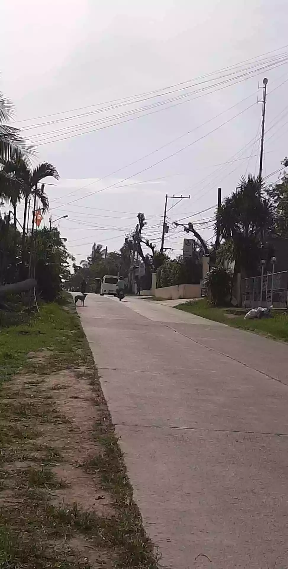 LOT FOR SALEâ€¼ï¸ - photo 4