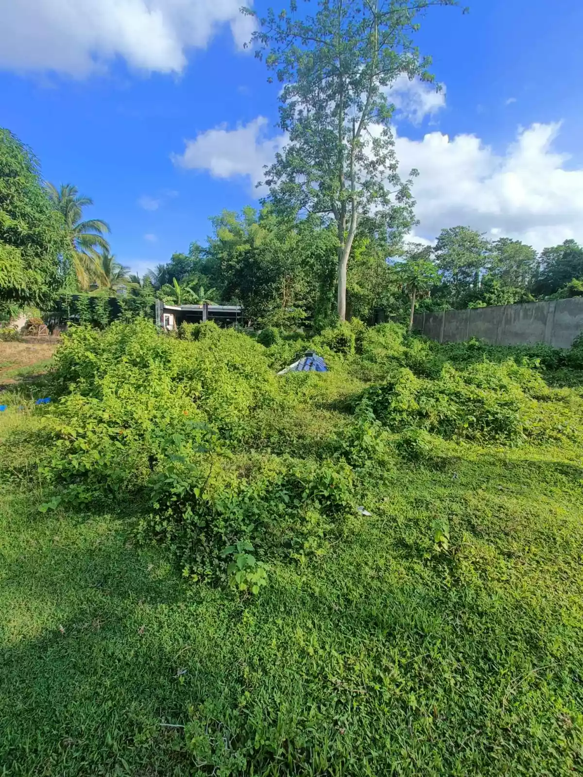 LOT FOR SALE — Residential Lot in Negros Oriental, Philippines — Photo 6