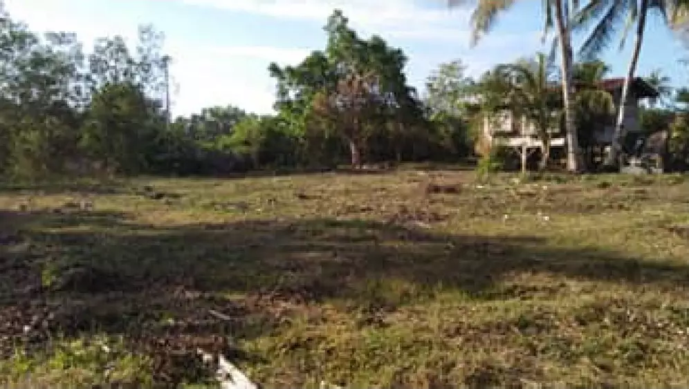 Residential Lot Near Panglao International Airport — Residential Lot in Panglao, Bohol, Philippines — Photo 5