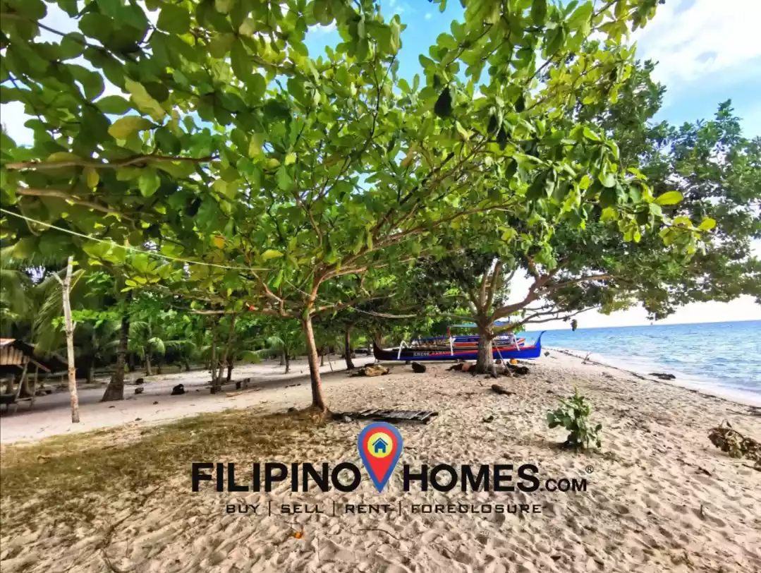 Open photo 19 of 25 — 3 Hectares Whitesand Beach Property 