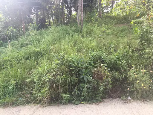 Residential Lot in Balamban for sale — Residential Lot in Balamban, Cebu, Philippines — Photo 3