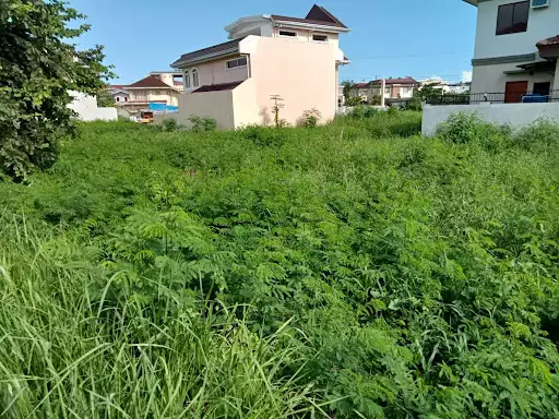 LOT FOR SALE IN CORONA DEL MAR? — Residential Lot in Pooc, Talisay, Cebu — Photo 3