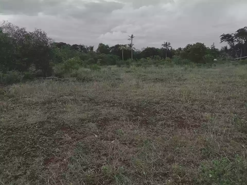7,863sqm lot for sale in Pangangan Island Calape Bohol 480 per sqm - photo 5