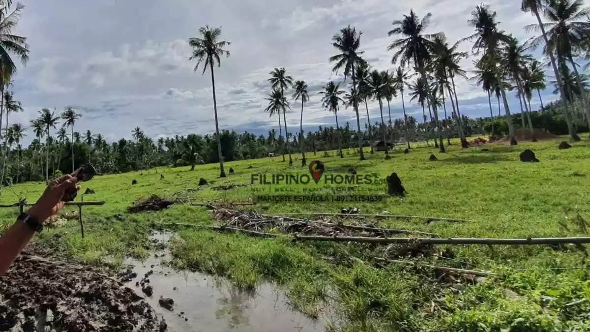 21 Hectares Beach for Sale  at Cablalan, Glan — Beach Lot in Sarangani, Philippines — Photo 6