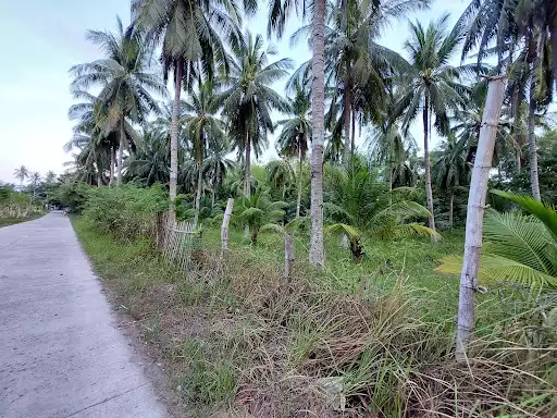 Residential lot in Bacong/Dumaguete for Sale