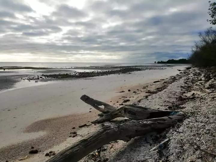 BEACH LOT IN SIQUIJOR — Beach Lot in Siquijor, Philippines — Photo 3