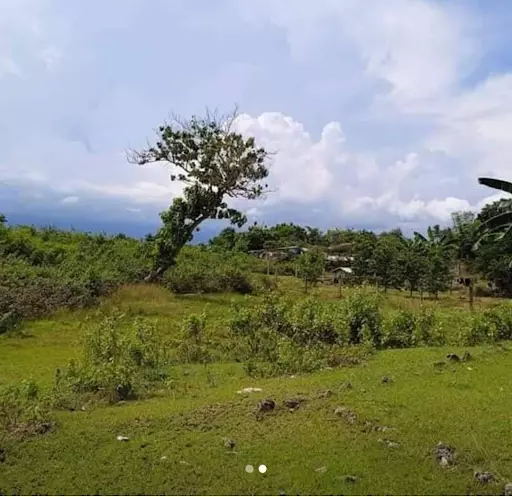 Lot for SALE in Liloan-Cebu — Residential Lot in Liloan, Cebu, Philippines — Photo 5
