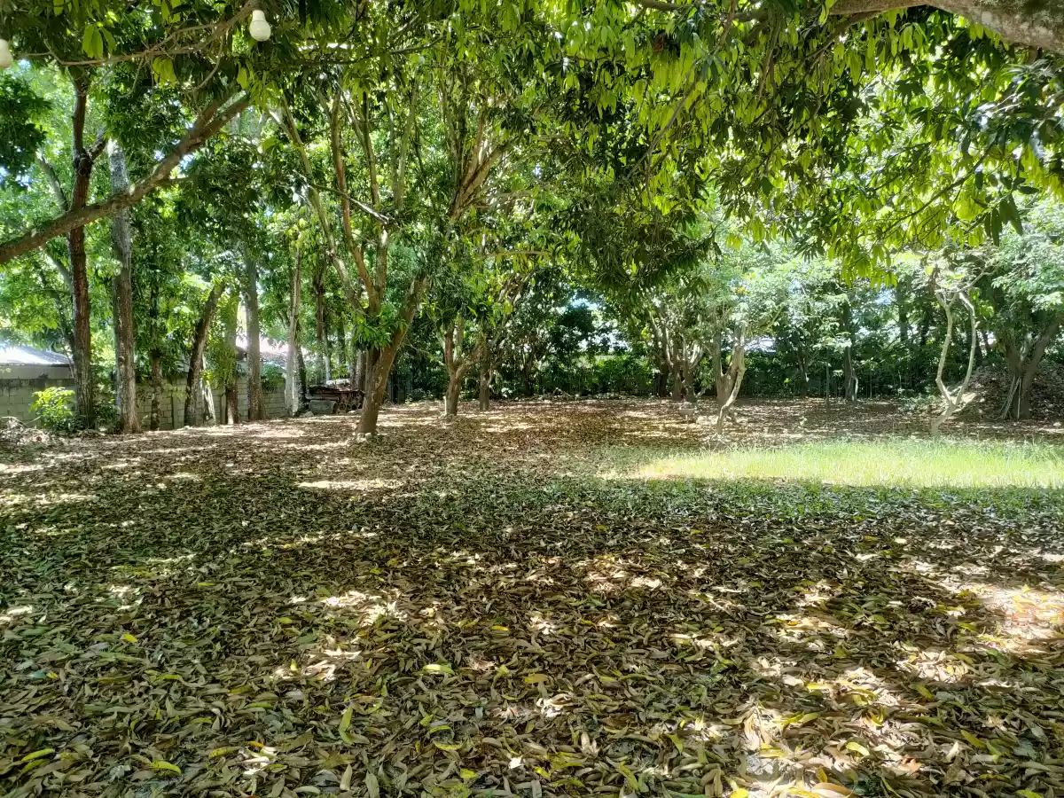 Open photo 15 of 22 — Lot for Sale with Bachelors Pad in Talay Dumaguete City