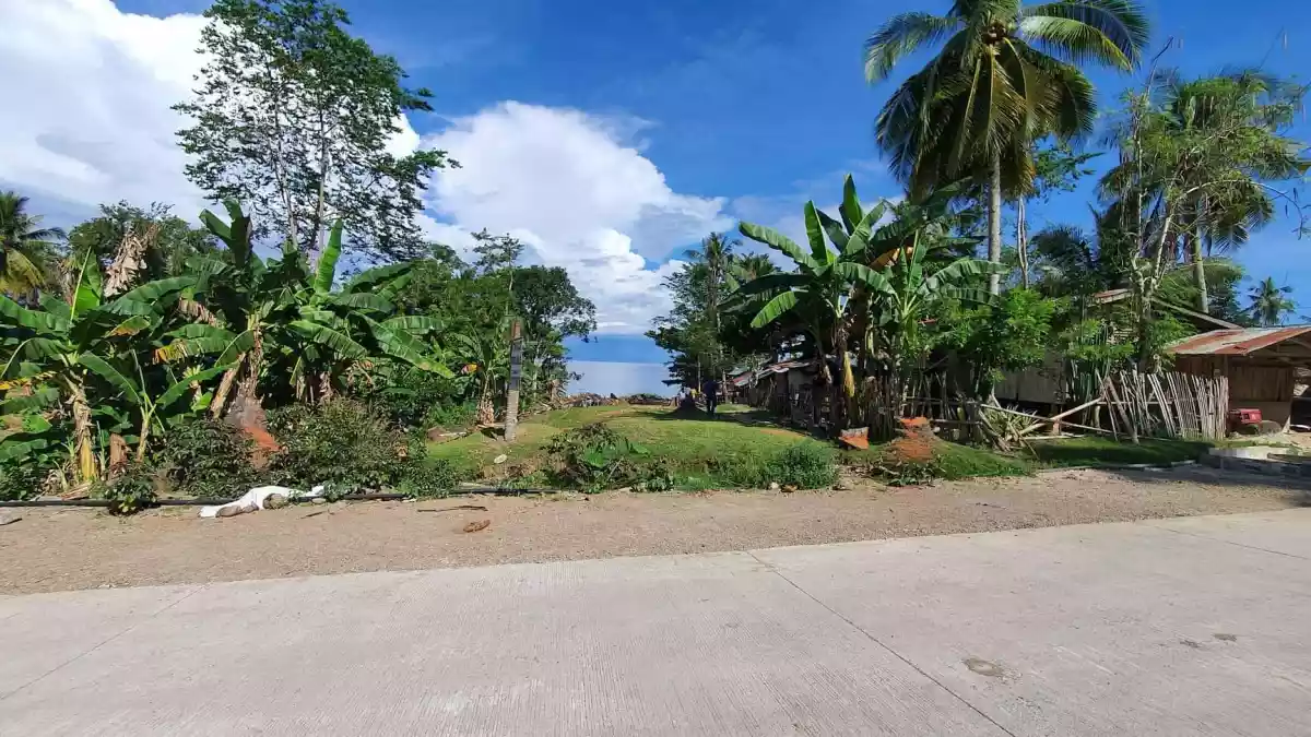 BEACH LOT — Beach Lot in Kaputian, Island Garden City of Samal, Davao del Norte — Photo 4